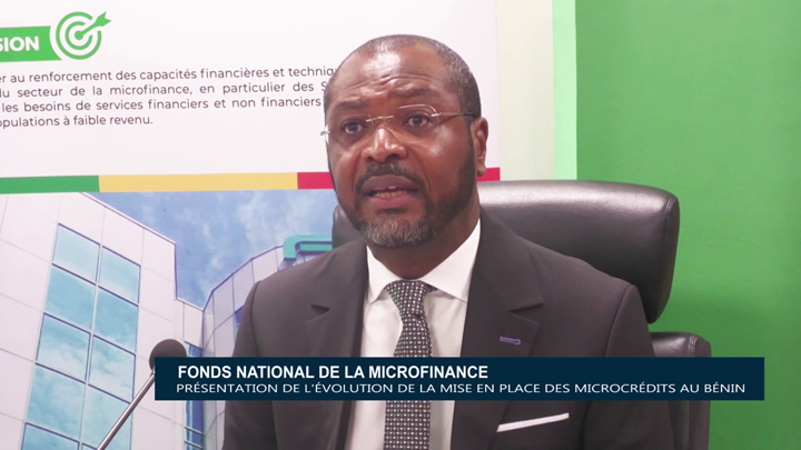 Fonds National de la Microfinance : Présentation de l’évolution de la mise en place des microcrédits au Bénin