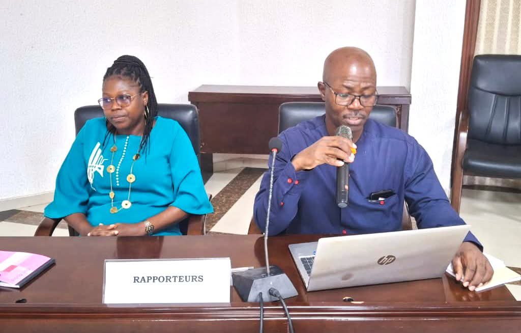 Cour constitutionnelle : Bilan critique des élections législatives et préparation de l’échéance présidentielle