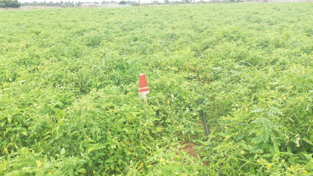 Ces parcelles qui enterrent la fraternité