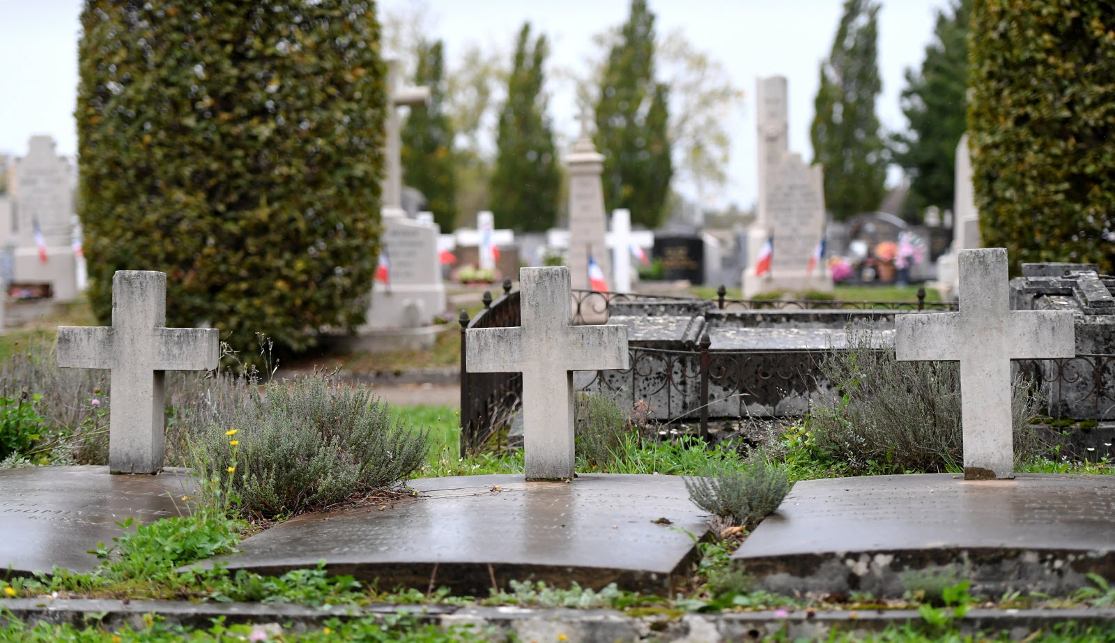 Propreté des cimetières : honorer nos morts au-delà des cérémonies