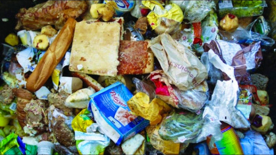 Nos poubelles débordent de nourriture, pendant que des familles ont faim