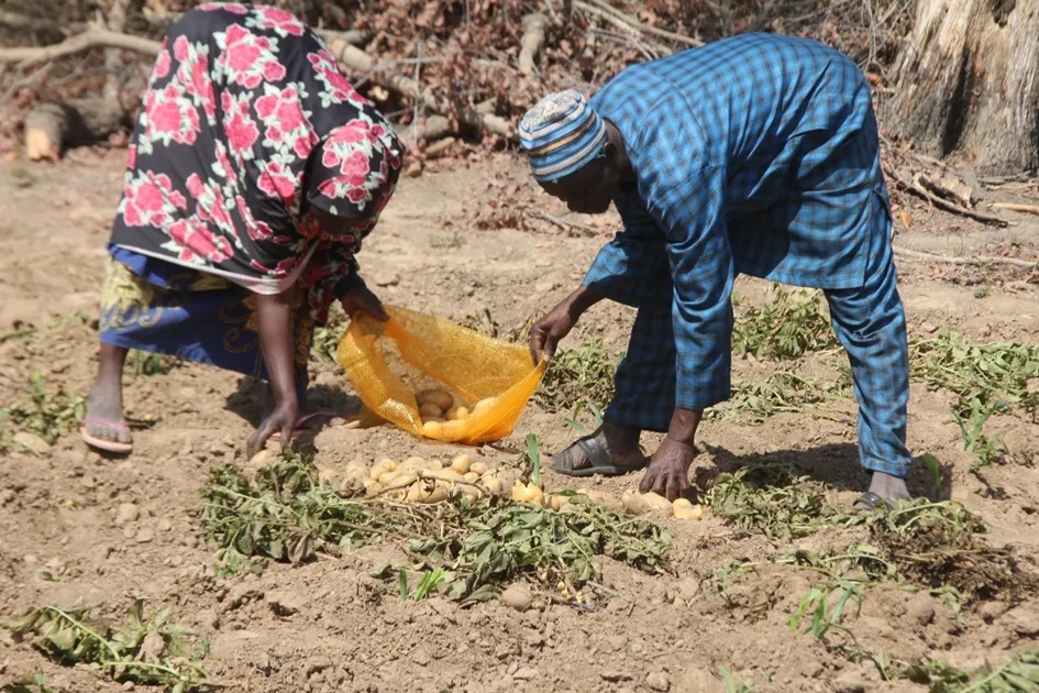Nourrir le pays sans affamer les producteurs